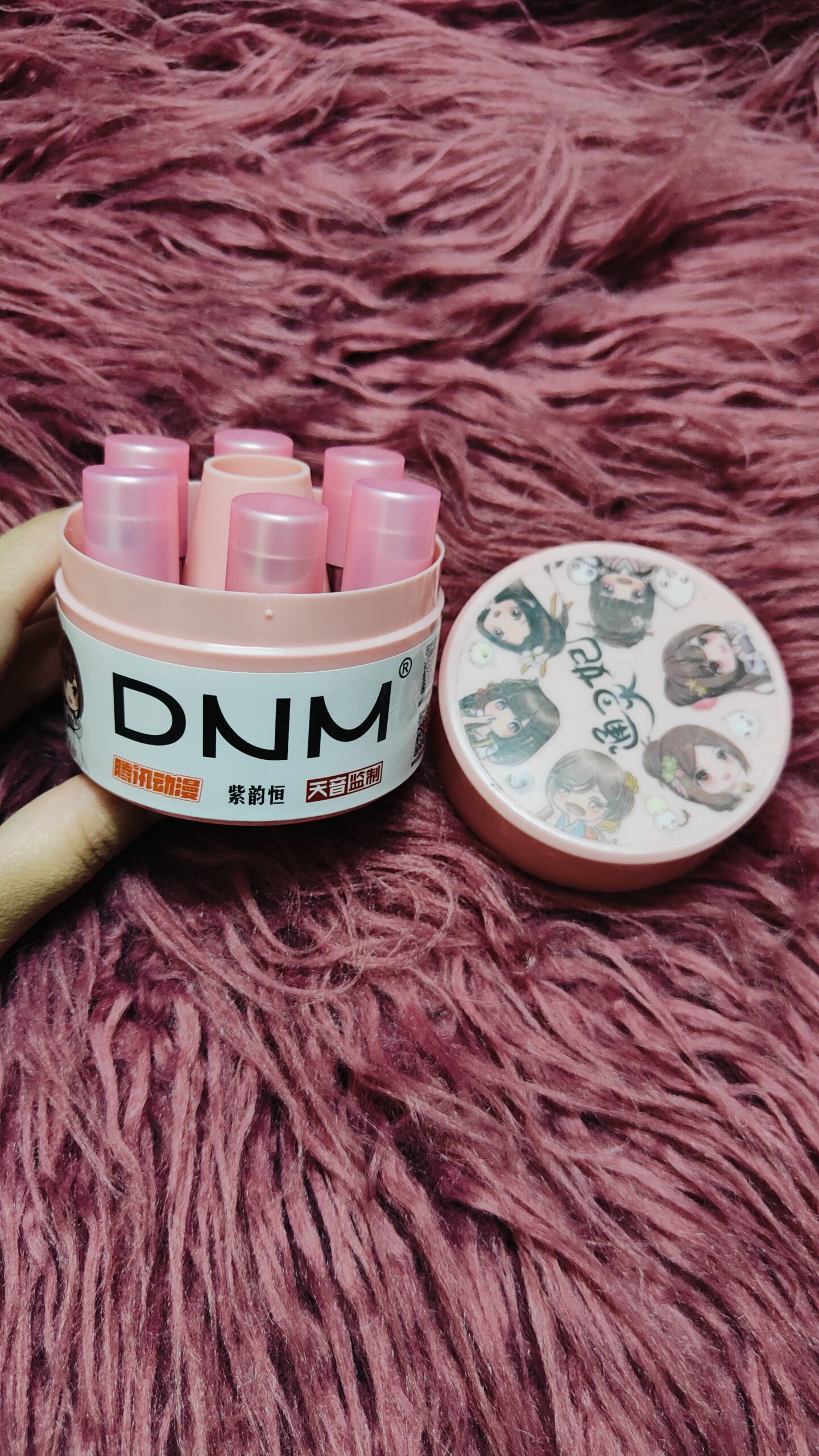 DNM Lip & Cheek Tints Set