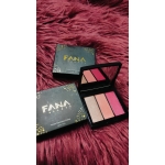 FANA Beauty Tricolor Eyeshadow/Highlighter Kit